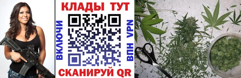 Купить наркотики Лесной Галлюциногенные грибы  Мефедрон  Каннабис  АМФЕТАМИН 