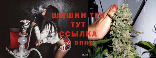гидропоника Балабаново