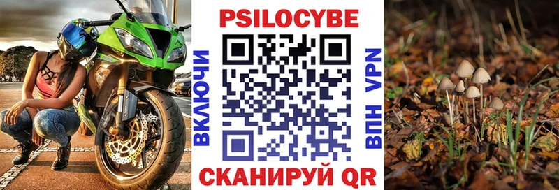 Псилоцибиновые грибы Magic Shrooms  даркнет официальный сайт  Лесной  как найти закладки 